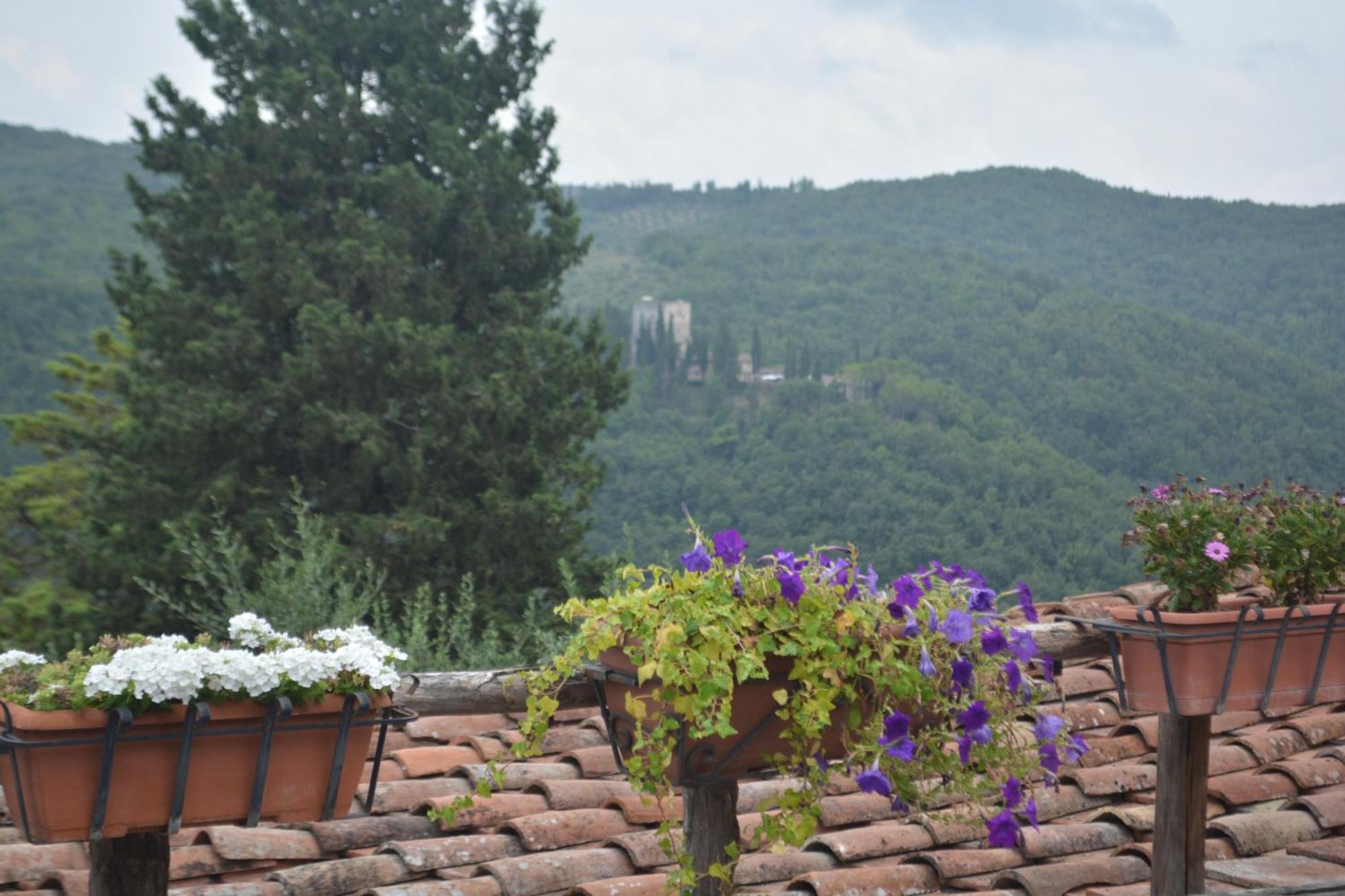 Celle Di Lecchi Nel Chianti Villa San Sano Exterior photo