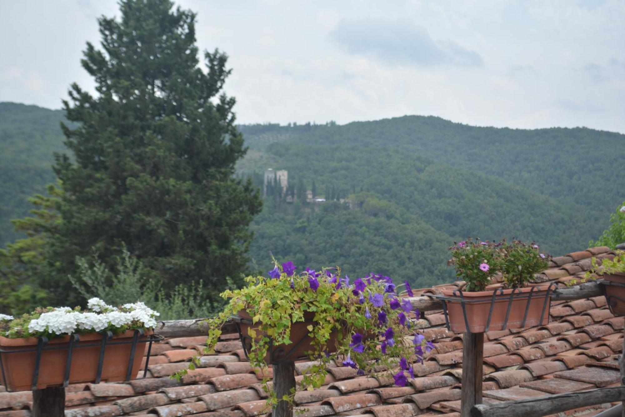 Celle Di Lecchi Nel Chianti Villa San Sano Exterior photo