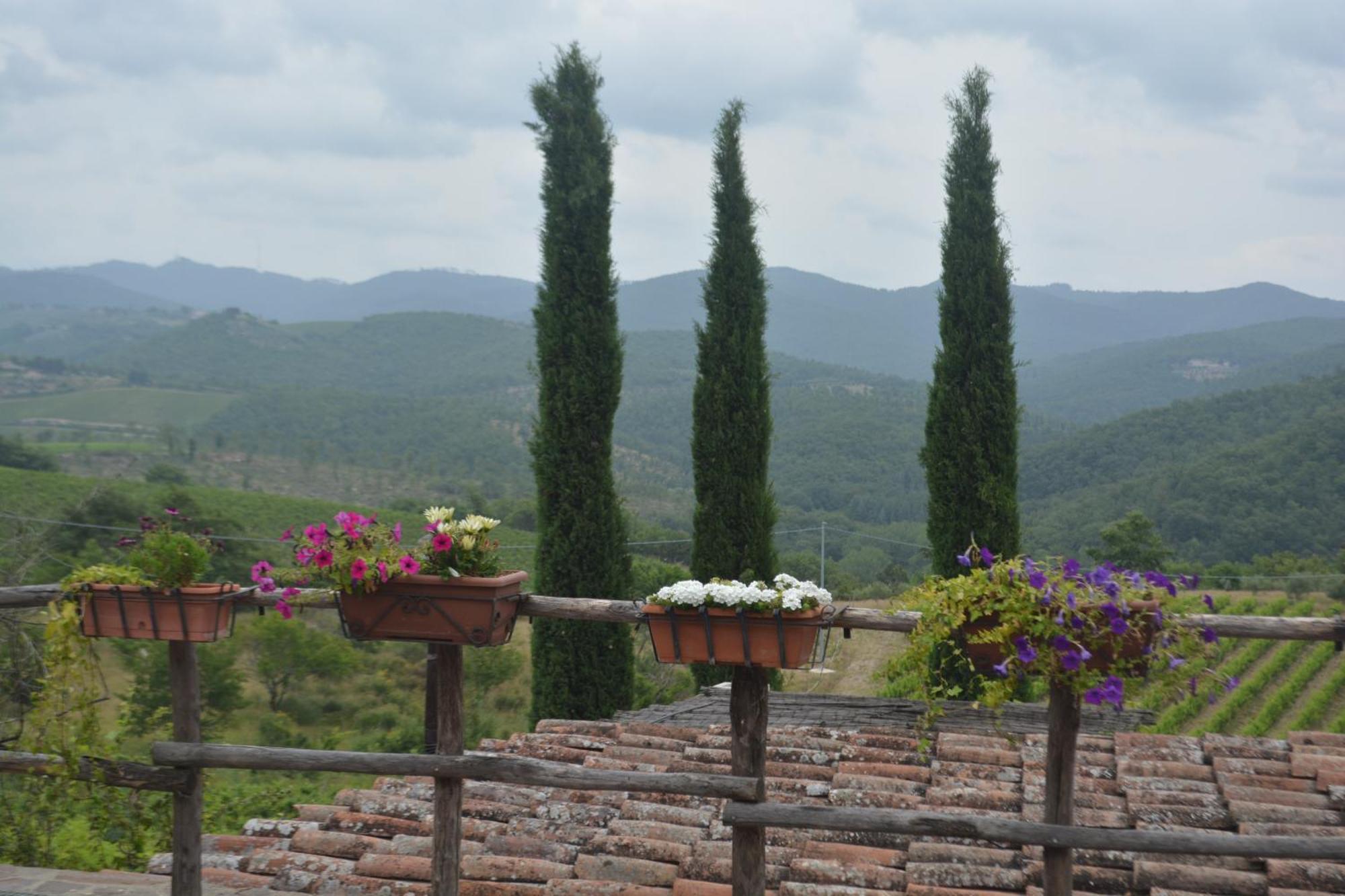 Celle Di Lecchi Nel Chianti Villa San Sano Exterior photo